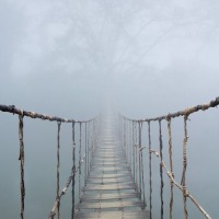 Traverser le pont : peurs et résistances